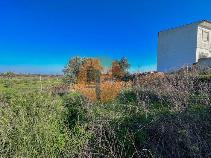 Image No.56-2 Bed House for sale