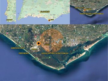 id09739501-0000-0500-0000-000015134dfc