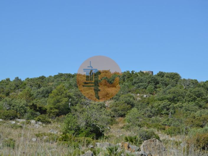 Image No.4-Plot for sale