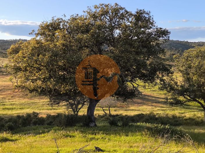 Image No.11-Terrain à vendre à Castro Marim