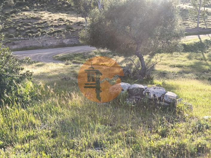 Image No.14-Plot for sale