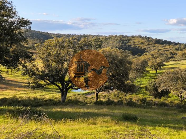 Image No.19-Plot for sale