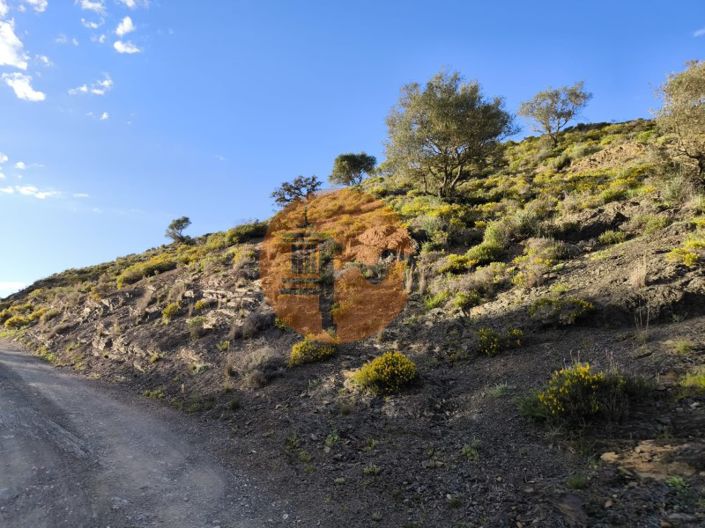 Image No.26-Terrain à vendre à Castro Marim