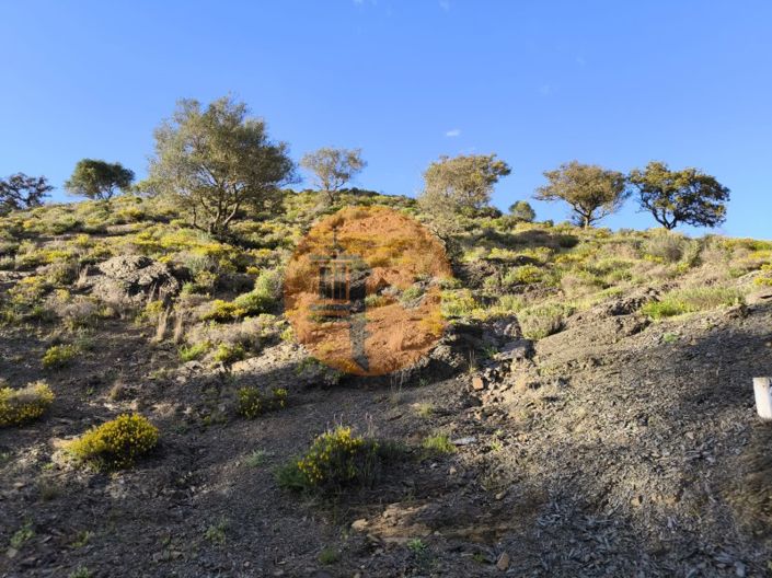 Image No.28-Plot for sale