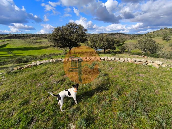 Image No.3-Plot for sale