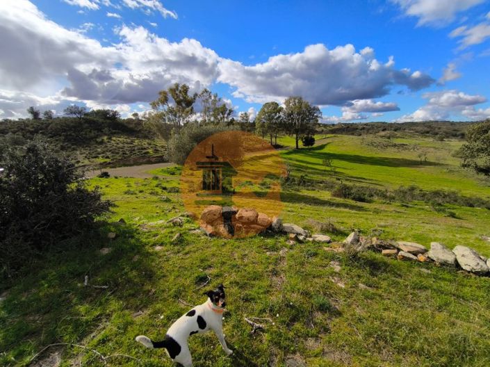 Image No.40-Plot for sale