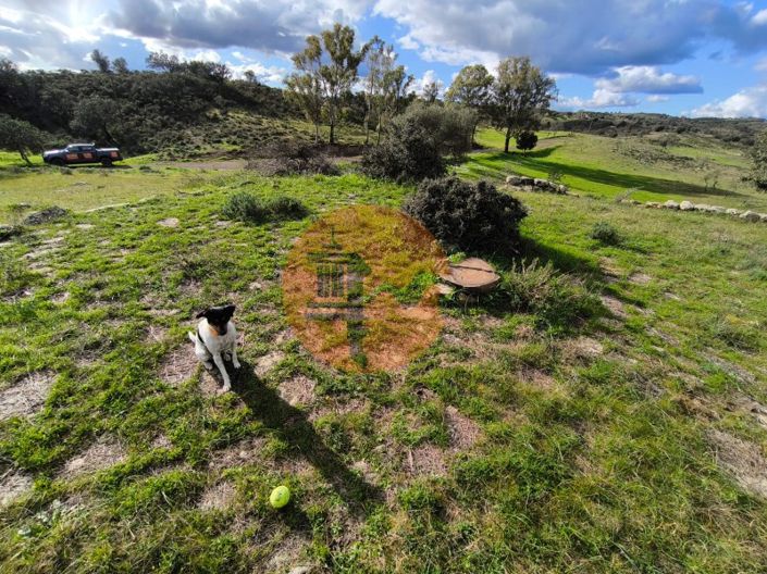 Image No.6-Plot for sale