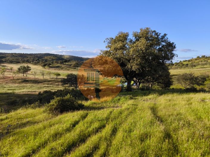 Image No.7-Terrain à vendre à Castro Marim