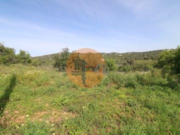 id40087b01-0000-0500-0000-000012ef6a40