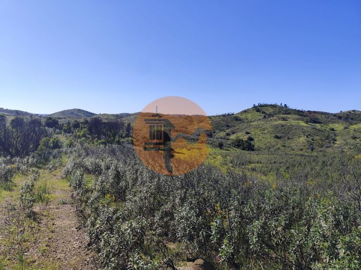 Image No.3-Terrain à vendre à Tavira