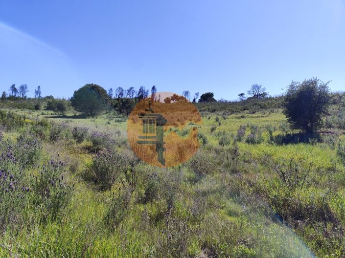 Image No.4-Terrain à vendre à Tavira