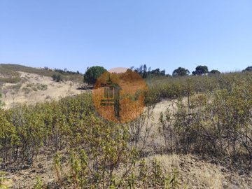 id28679801-0000-0500-0000-00001a000d76
