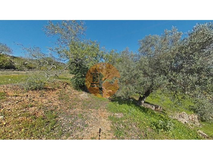 Image No.4-Terrain à vendre à Faro City