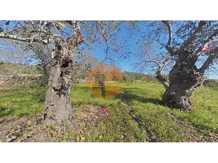 Image No.8-Terrain à vendre à Faro City