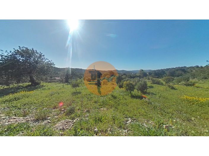 Image No.7-Terrain à vendre à Faro City