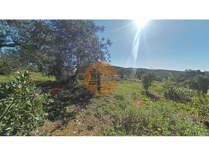 Image No.9-Terrain à vendre à Faro City