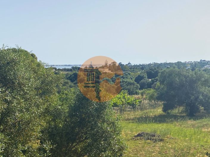 Image No.17-1 Bed House for sale