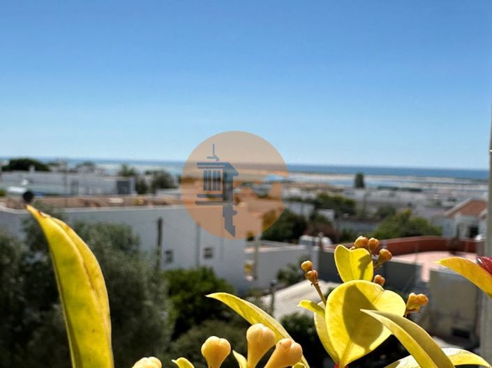 Image No.35-3 Bed House for sale