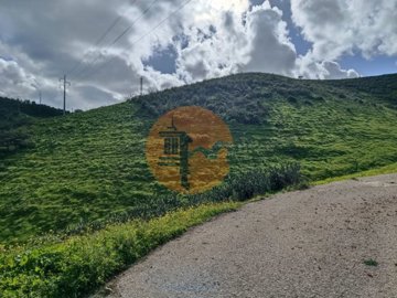 id35317701-0000-0500-0000-000015d99e94