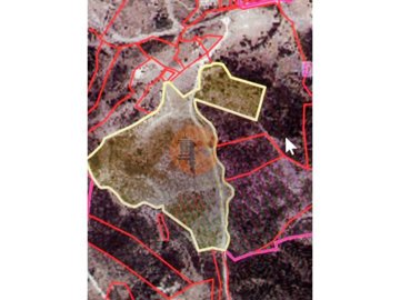 id35317701-0000-0500-0000-000015d99e82