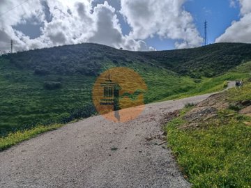 id35317701-0000-0500-0000-000015d99e89