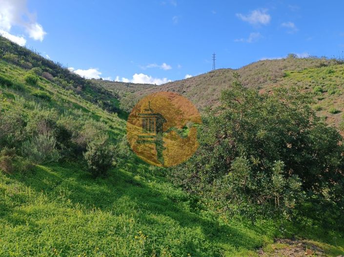 Image No.20-Plot for sale