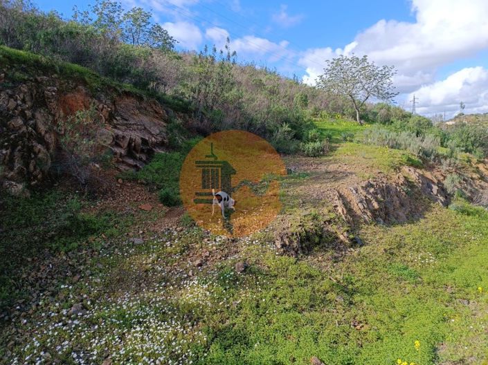 Image No.25-Plot for sale