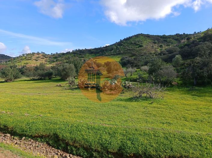 Image No.26-Plot for sale