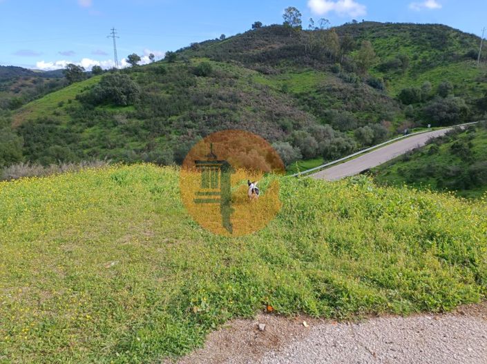 Image No.8-Plot for sale