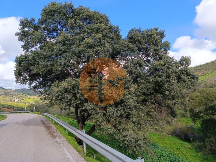 Image No.23-3 Bed Commercial for sale