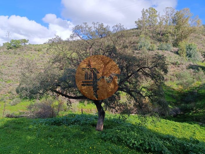 Image No.24-Commercial de 3 chambres à vendre à Castro Marim