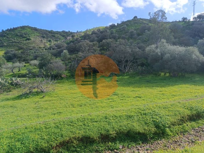 Image No.27-3 Bed Commercial for sale