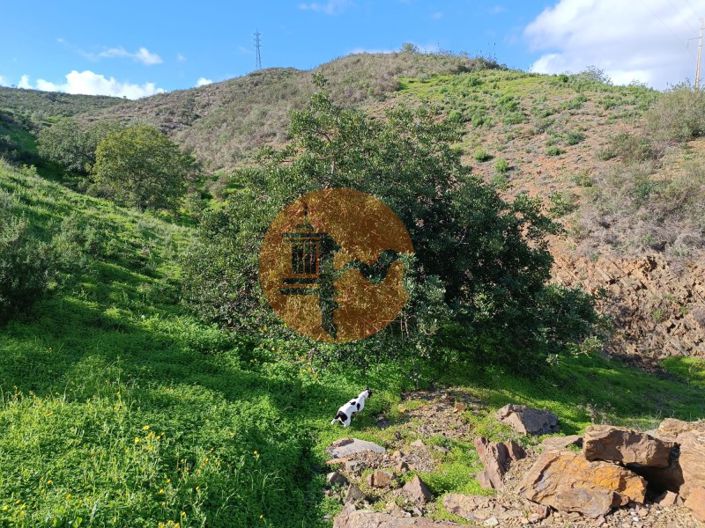 Image No.28-Commercial de 3 chambres à vendre à Castro Marim