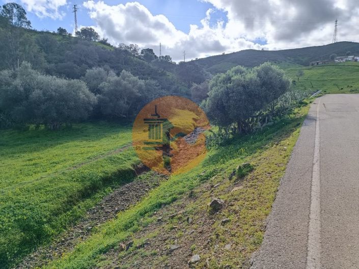 Image No.29-Commercial de 3 chambres à vendre à Castro Marim