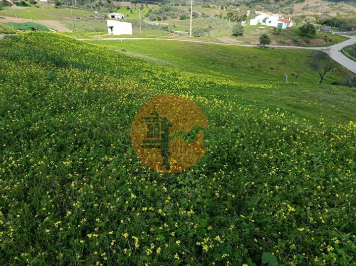 Image No.32-3 Bed Commercial for sale