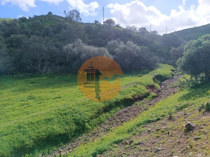 Image No.35-3 Bed Commercial for sale