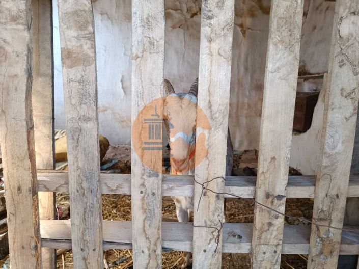 Image No.48-Commercial de 3 chambres à vendre à Castro Marim