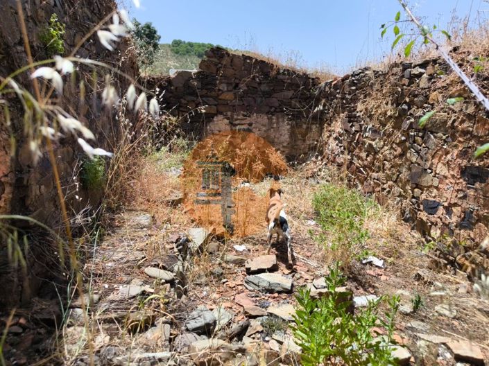 Image No.3-Plot for sale