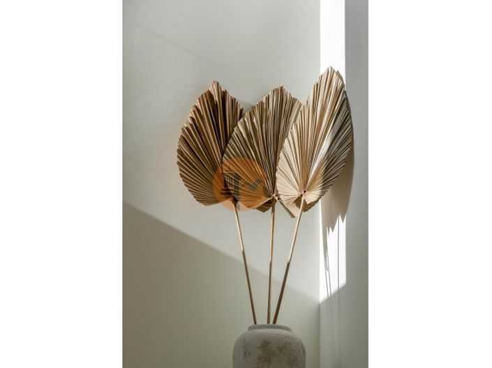 Image No.16-Maison de 3 chambres à vendre à Faro City