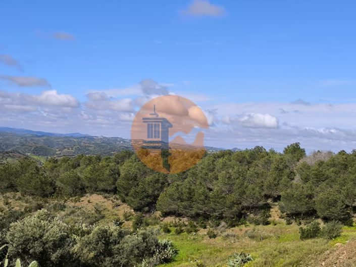 Image No.13-1 Bed House for sale