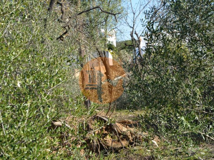 Image No.26-Terrain à vendre à Olhão