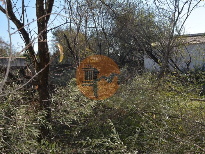 Image No.28-Terrain à vendre à Olhão