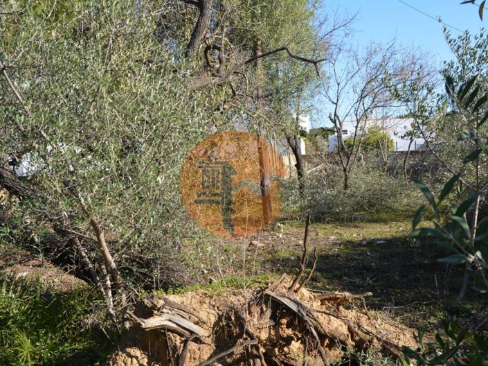 Image No.29-Terrain à vendre à Olhão