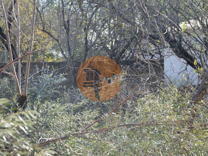 Image No.30-Terrain à vendre à Olhão