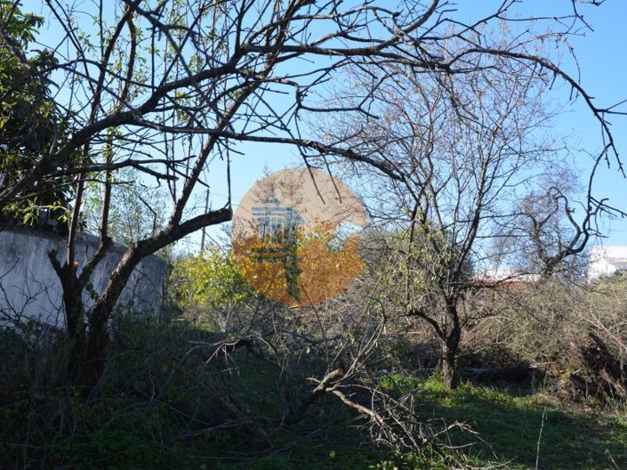 Image No.33-Terrain à vendre à Olhão