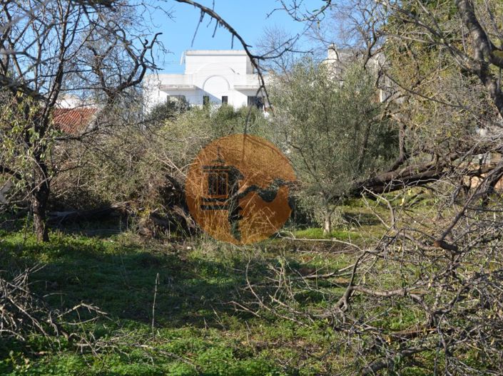 Image No.34-Terrain à vendre à Olhão