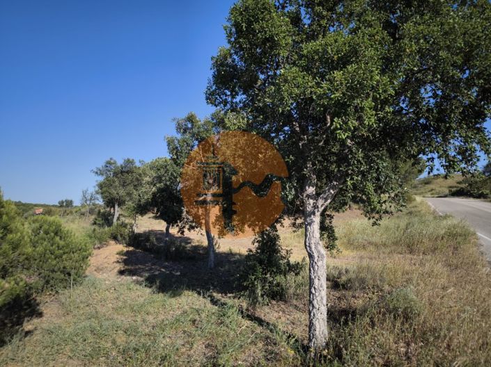 Image No.1-Plot for sale