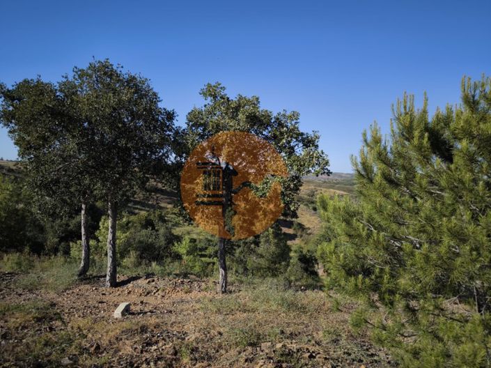 Image No.10-Plot for sale