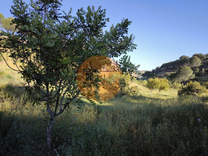 Image No.13-Terrain à vendre à Castro Marim