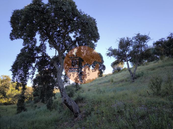 Image No.21-Terrain à vendre à Castro Marim